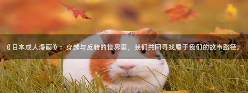 妖姬日动漫：《日本成人漫画》：穿越与反转的世界里，我们共同寻找属于我们的故事路径