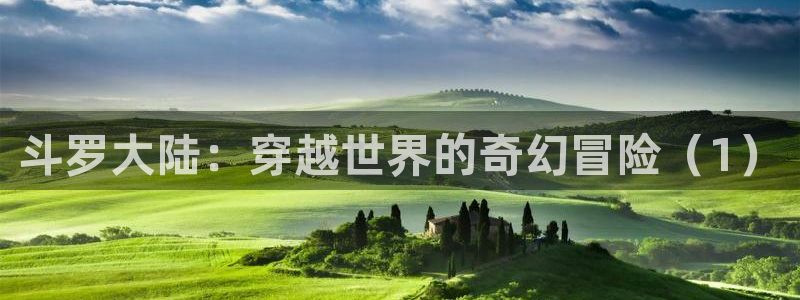 名侦探柯楠万圣节的新娘妖姬动漫：斗罗大陆：穿越世界的奇幻冒险（1）